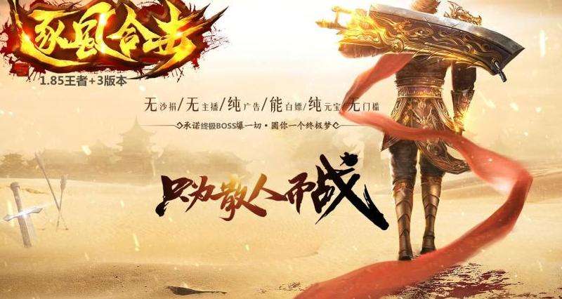 网通最新传奇私服攻略：游戏特色、升级技巧、组队PK全解析